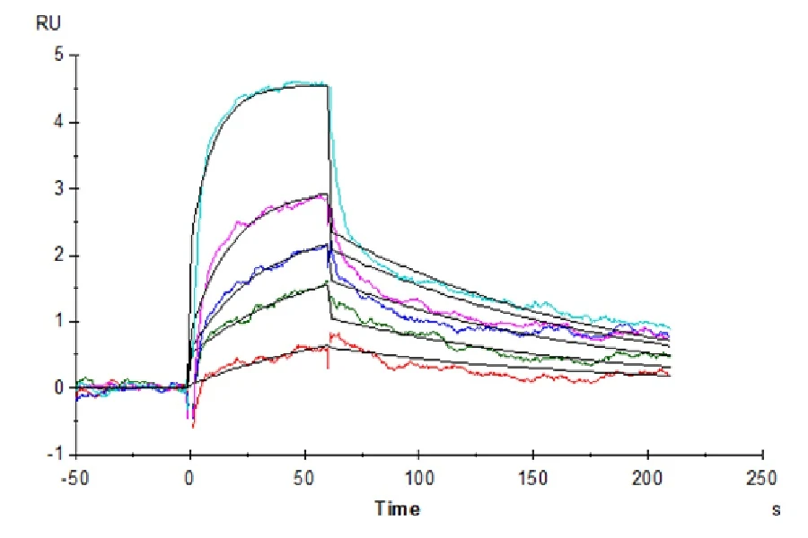 WT1-HP002 SPR result