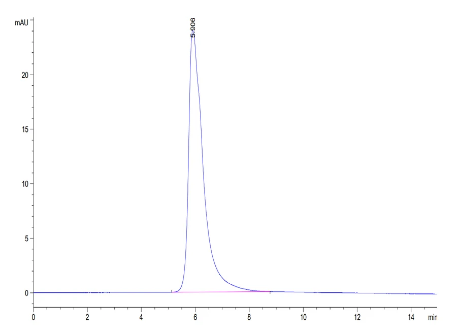 WT1-HP003 SEC-HPLC result