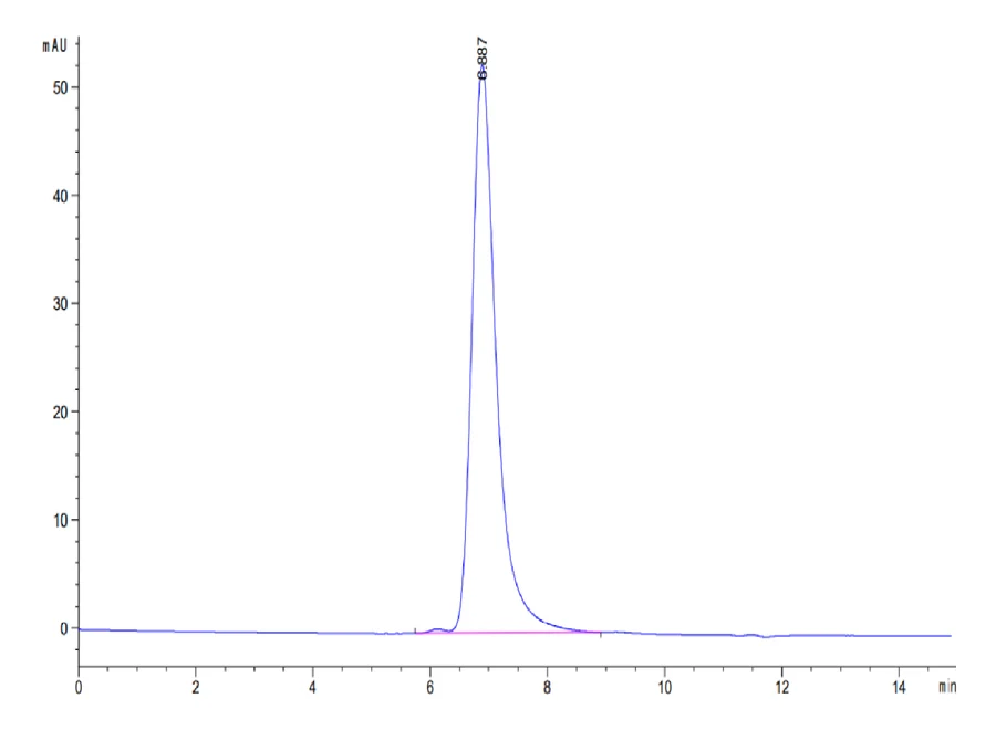 WT1-HP006 SEC-HPLC result