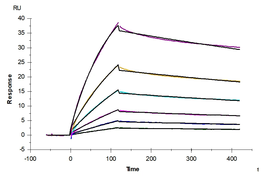 SEMA4A-HB001 SEM-HM44AB-SPR-1 result